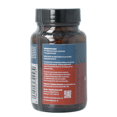 Terranova Astragalus 500mg 50.00 Vegetarische capsules