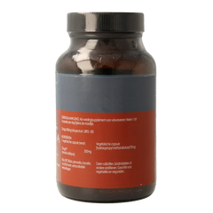 Terranova Chaga 500mg 100 Vegetarische capsules