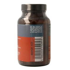 Terranova Chaga 500mg 100.00 Vegetarische capsules