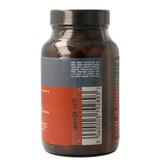 Terranova Chaga 500mg 100.00 Vegetarische capsules