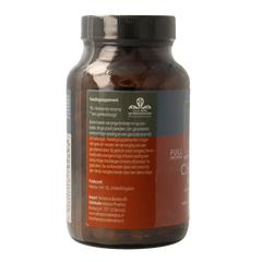 Terranova Chaga 500mg 100 Vegetarische capsules