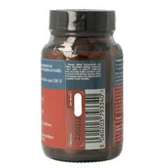 Terranova Maitake 500mg complex 50 Vegetarische capsules