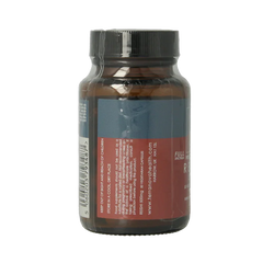 Terranova Reishi 500mg 50 Vegetarische capsules