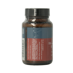 Terranova Reishi 500mg 50.00 Vegetarische capsules