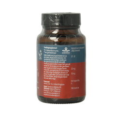 Terranova Reishi 500mg 50.00 Vegetarische capsules