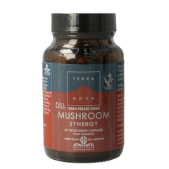 Terranova Mushroom synergy complex 50.00 Vegetarische capsules