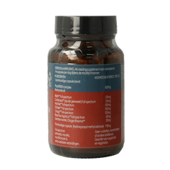 Terranova Mushroom synergy complex 50.00 Vegetarische capsules