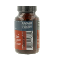 Terranova Alpha lipoic acid 300mg complex 100 Vegetarische capsules