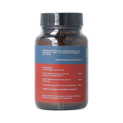 Terranova Gefermenteerde Kombucha- Fermbucha 50.00 Vegetarische capsules