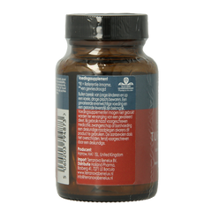 Terranova Fermented turmeric 350mg 50 Vegetarische capsules