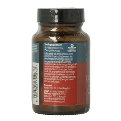 Terranova Fermented turmeric 350mg 50.00 Vegetarische capsules