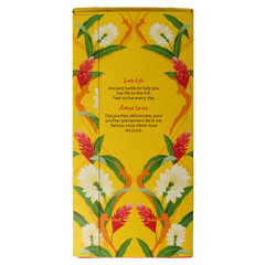 Pukka Tumeric active tea bio 20 Zakjes