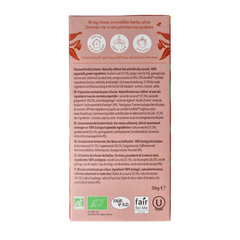 Pukka Tumeric active tea bio 20.00 Zakjes