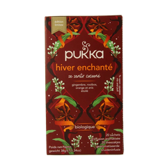 Pukka Winter warmer bio 20 Zakjes