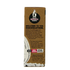 Eco Egg Laundry egg refill spring blossom 1 Stuks