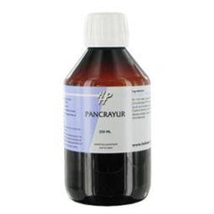 Holisan Pancrayur 250.00 Milliliter