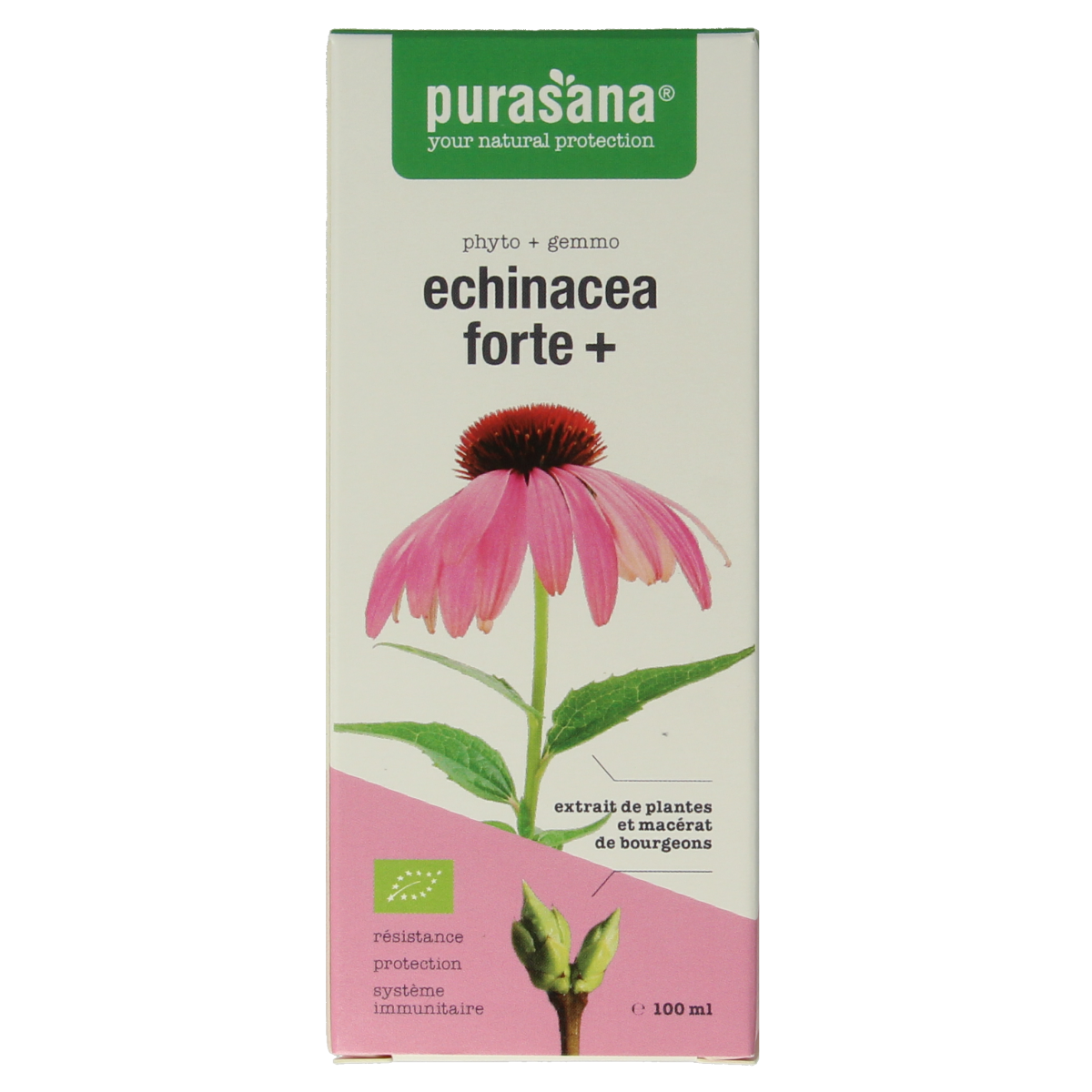 Purasana Echinacea forte + vegan bio 100.00 Milliliter