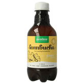 Purasana Kombucha gember vegan bio 330 Milliliter