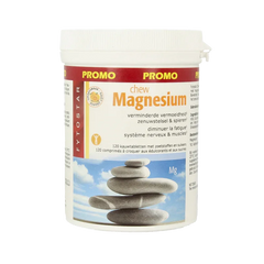 Fytostar Magnesium chew kauwtabletten 120.00 Kauwtabletten