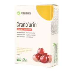 Quercus Cranburin 15 Stuks