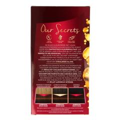 Poly Palette Haarverf 700 truffel bruin 1 Set