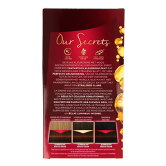 Poly Palette Haarverf 700 truffel bruin 1 Set