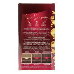 Poly Palette Haarverf 7-11 donker asblond 1 Set