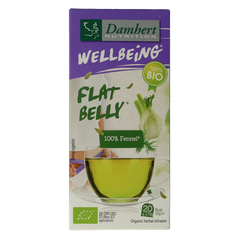 Damhert Tea time venkelthee bio 20 Zakjes