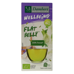 Damhert Tea time venkelthee bio 20.00 Zakjes