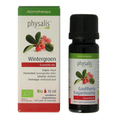 Physalis Wintergreen bio 10 Milliliter