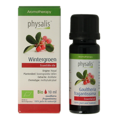 Physalis Wintergreen bio 10 Milliliter