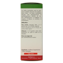 Physalis Wintergreen bio 10 Milliliter