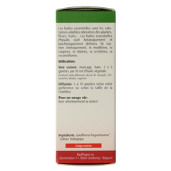 Physalis Wintergreen bio 10.00 Milliliter