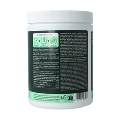 The Green Athlete BCAA 400.00 Gram
