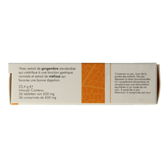 SoriaBel Ginbrin 36.00 Tabletten