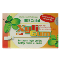 Xyligum Fruit 15.00 Gram