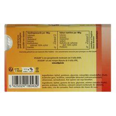 Xyligum Fruit 15 Gram