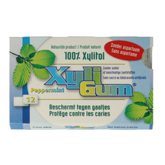 Xyligum Peppermint 12.00 Stuks