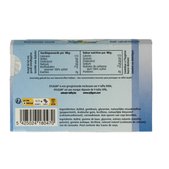 Xyligum Peppermint 12.00 Stuks
