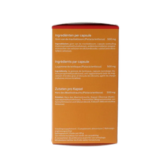 Nutrisan Mastica 120.00 Capsules