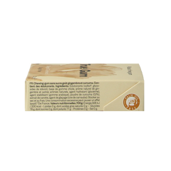 True Gum Ginger & turmeric 21.00 Gram