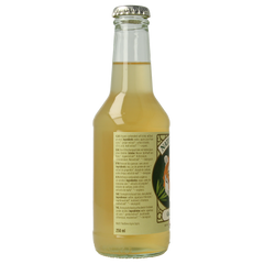 Naturfrisk Ginger ale bio 250.00 Milliliter