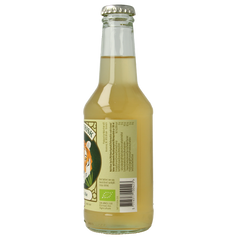 Naturfrisk Ginger ale bio 250.00 Milliliter