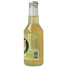 Naturfrisk Ginger ale bio 250 Milliliter