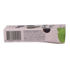 True Mints Blackcurrant suikervrij 13 Gram