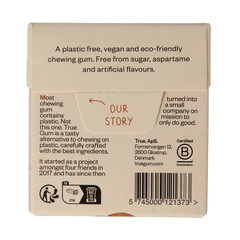 True Gum Cinnamon suikervrij 21 Gram