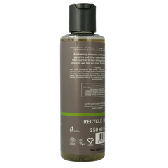 Urtekram Shampoo rozemarijn 250 Milliliter