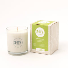 Soylites Soja geurkaars energise 220 Milliliter