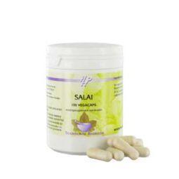 Holisan Salai 100 Vegetarische capsules