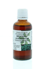 Cruydhof Thuja occidentalis / levensboom tinctuur 50 Milliliter